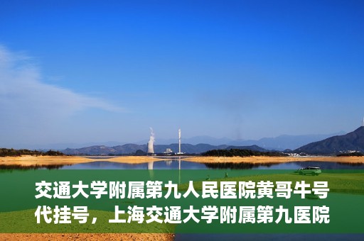 交通大学附属第九人民医院黄哥牛号代挂号，上海交通大学附属第九医院黄哥牛号代挂号攻略解析