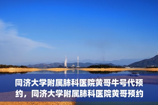 同济大学附属肺科医院黄哥牛号代预约，同济大学附属肺科医院黄哥预约代预约服务启动