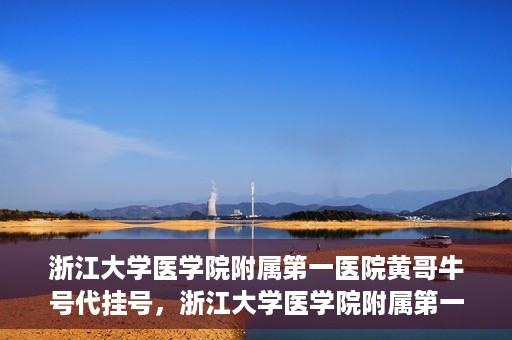 浙江大学医学院附属第一医院黄哥牛号代挂号，浙江大学医学院附属第一医院黄哥牛号代挂号服务解析