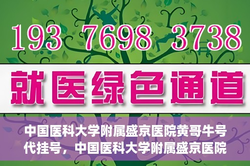 中国医科大学附属盛京医院黄哥牛号代挂号，中国医科大学附属盛京医院黄哥牛号代挂号背后的故事与真相揭秘
