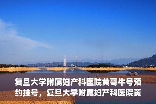 复旦大学附属妇产科医院黄哥牛号预约挂号，复旦大学附属妇产科医院黄哥牛挂号预约攻略解析