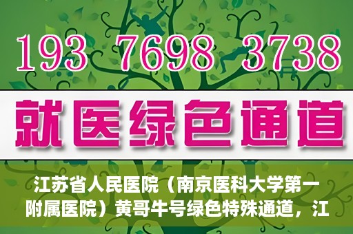 江苏省人民医院（南京医科大学第一附属医院）黄哥牛号绿色特殊通道，江苏省人民医院绿色特殊通道，黄哥牛号的医疗速度与温情服务