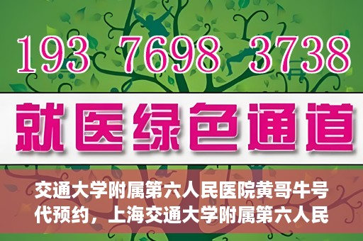交通大学附属第六人民医院黄哥牛号代预约，上海交通大学附属第六人民医院黄哥牛号预约服务启动