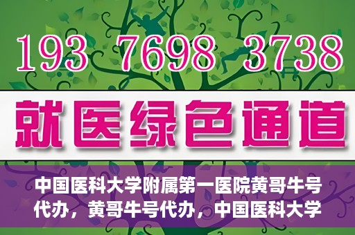 中国医科大学附属第一医院黄哥牛号代办，黄哥牛号代办，中国医科大学附属第一医院挂号服务新动向