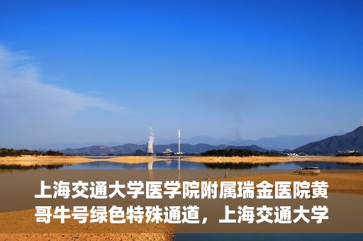上海交通大学医学院附属瑞金医院黄哥牛号绿色特殊通道，上海交通大学医学院附属瑞金医院黄哥牛号，绿色特殊通道开启健康之门