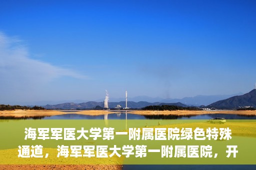 海军军医大学第一附属医院绿色特殊通道，海军军医大学第一附属医院，开启绿色特殊通道，守护生命健康之路