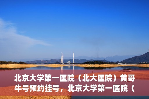 北京大学第一医院（北大医院）黄哥牛号预约挂号，北京大学第一医院（北大医院）黄哥牛号，预约挂号攻略