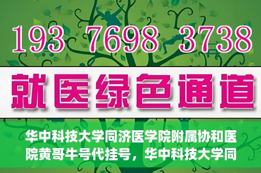 华中科技大学同济医学院附属协和医院黄哥牛号代挂号，华中科技大学同济医学院附属协和医院黄哥牛号代挂号服务详解