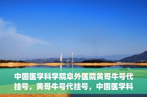 中国医学科学院阜外医院黄哥牛号代挂号，黄哥牛号代挂号，中国医学科学院阜外医院便捷就医新途径