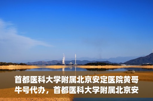 首都医科大学附属北京安定医院黄哥牛号代办，首都医科大学附属北京安定医院，黄哥牛号代办服务解析