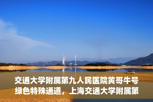 交通大学附属第九人民医院黄哥牛号绿色特殊通道，上海交通大学附属第九人民医院黄哥牛号，绿色特殊通道开启健康之门