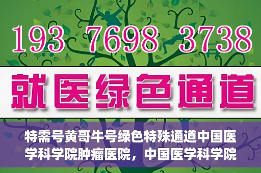 特需号黄哥牛号绿色特殊通道中国医学科学院肿瘤医院，中国医学科学院肿瘤医院特需号黄哥牛号绿色特殊通道揭秘