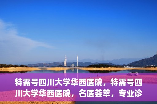 特需号四川大学华西医院，特需号四川大学华西医院，名医荟萃，专业诊疗之巅