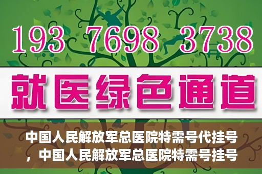 中国人民解放军总医院特需号代挂号，中国人民解放军总医院特需号挂号服务解析
