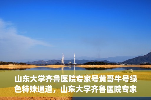 山东大学齐鲁医院专家号黄哥牛号绿色特殊通道，山东大学齐鲁医院专家黄哥牛号，绿色特殊通道揭秘