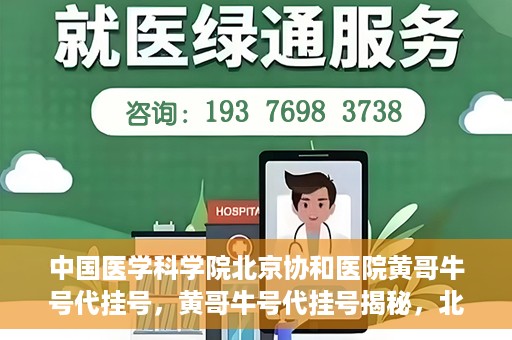 中国医学科学院北京协和医院黄哥牛号代挂号，黄哥牛号代挂号揭秘，北京协和医院挂号背后的故事