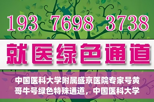 中国医科大学附属盛京医院专家号黄哥牛号绿色特殊通道，中国医科大学附属盛京医院专家号黄哥牛号，绿色特殊通道揭秘
