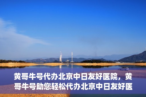 黄哥牛号代办北京中日友好医院，黄哥牛号助您轻松代办北京中日友好医院手续