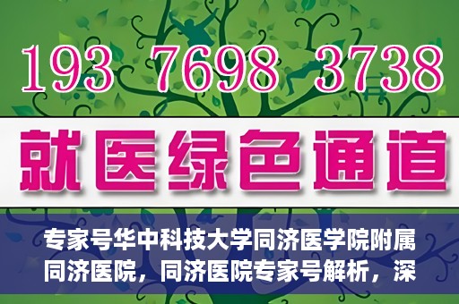 专家号华中科技大学同济医学院附属同济医院，同济医院专家号解析，深度解读医疗技术与学科优势