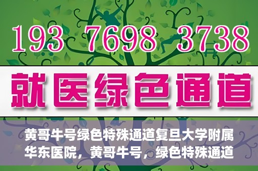 黄哥牛号绿色特殊通道复旦大学附属华东医院，黄哥牛号，绿色特殊通道揭秘，华东医院新篇章开启