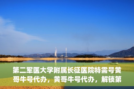 第二军医大学附属长征医院特需号黄哥牛号代办，黄哥牛号代办，解锁第二军医大学附属长征医院特需号服务新体验