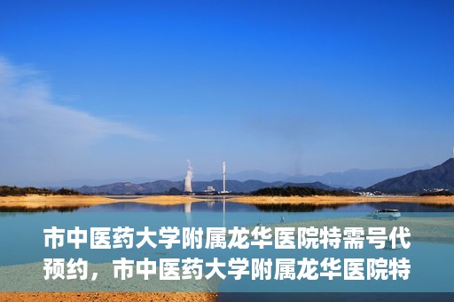 市中医药大学附属龙华医院特需号代预约，市中医药大学附属龙华医院特需号预约服务解析