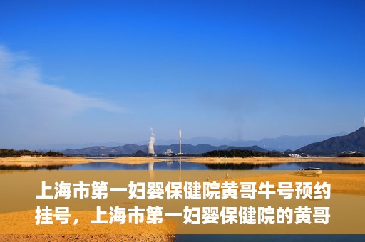 上海市第一妇婴保健院黄哥牛号预约挂号，上海市第一妇婴保健院的黄哥牛号预约挂号攻略