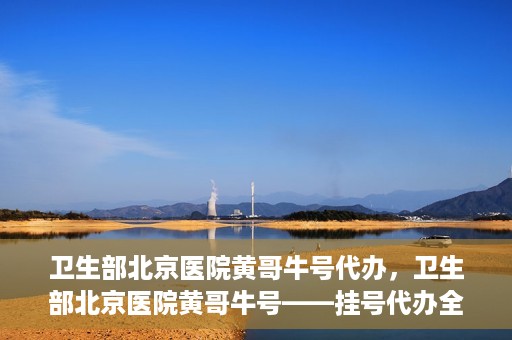 卫生部北京医院黄哥牛号代办，卫生部北京医院黄哥牛号——挂号代办全攻略