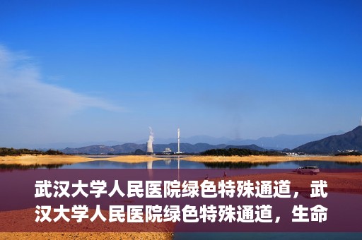 武汉大学人民医院绿色特殊通道，武汉大学人民医院绿色特殊通道，生命救援的紧急通道