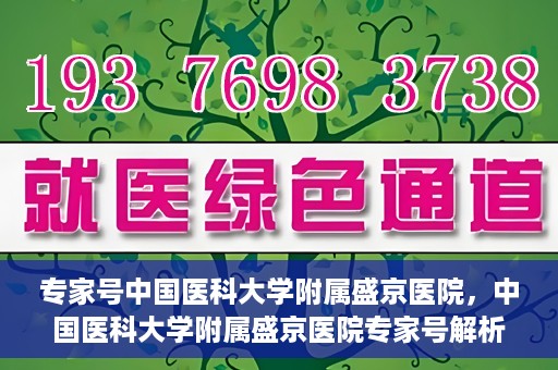 专家号中国医科大学附属盛京医院，中国医科大学附属盛京医院专家号解析