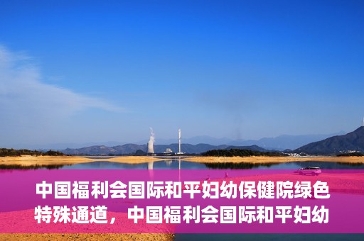 中国福利会国际和平妇幼保健院绿色特殊通道，中国福利会国际和平妇幼保健院，绿色特殊通道助力母婴健康守护