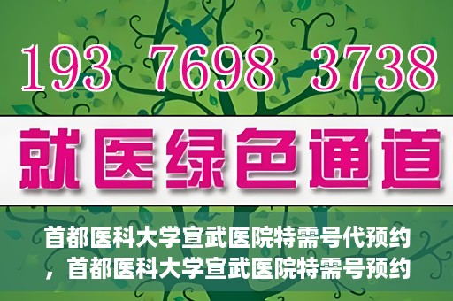 首都医科大学宣武医院特需号代预约，首都医科大学宣武医院特需号预约服务详解