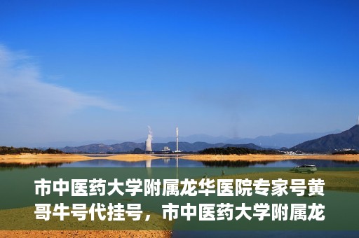 市中医药大学附属龙华医院专家号黄哥牛号代挂号，市中医药大学附属龙华医院专家黄哥牛号代挂号攻略