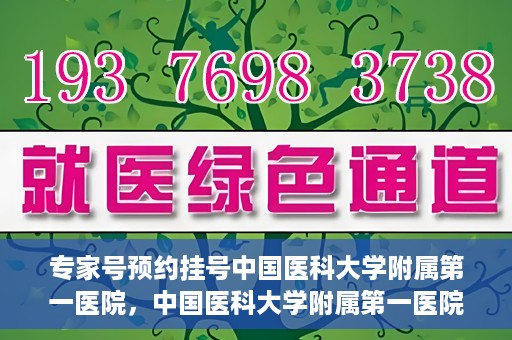 专家号预约挂号中国医科大学附属第一医院，中国医科大学附属第一医院专家号预约挂号攻略