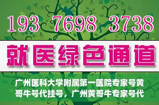 广州医科大学附属第一医院专家号黄哥牛号代挂号，广州黄哥牛专家号代挂号服务解析，专业医疗资源的便捷获取之道