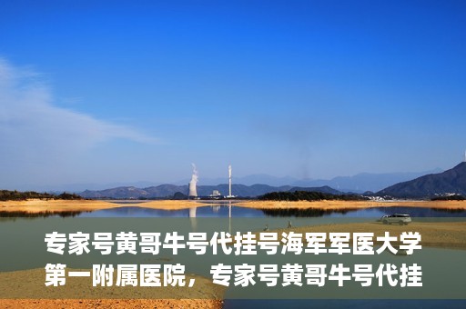 专家号黄哥牛号代挂号海军军医大学第一附属医院，专家号黄哥牛号代挂号背后的故事，海军军医大学第一附属医院深度解析