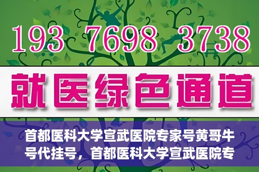 首都医科大学宣武医院专家号黄哥牛号代挂号，首都医科大学宣武医院专家黄哥牛号代挂号解读，权威医疗资源的深度剖析
