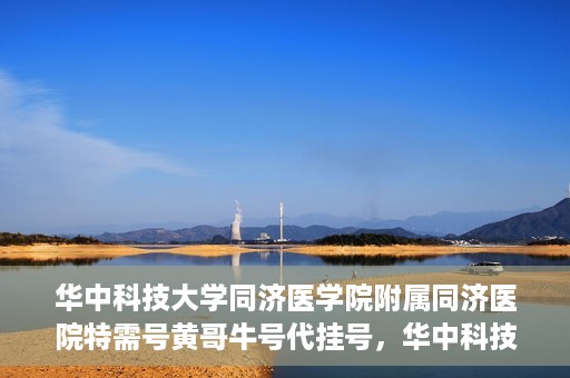 华中科技大学同济医学院附属同济医院特需号黄哥牛号代挂号，华中科技大学同济医院特需号专家黄哥牛号代挂号服务解析