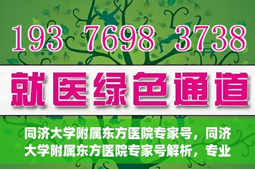 同济大学附属东方医院专家号，同济大学附属东方医院专家号解析，专业医疗服务的深度解读