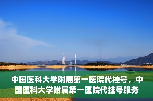 中国医科大学附属第一医院代挂号，中国医科大学附属第一医院代挂号服务详解