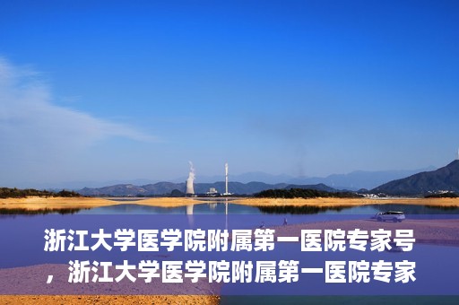 浙江大学医学院附属第一医院专家号，浙江大学医学院附属第一医院专家号解析，权威医疗团队与尖端诊疗技术共筑健康防线