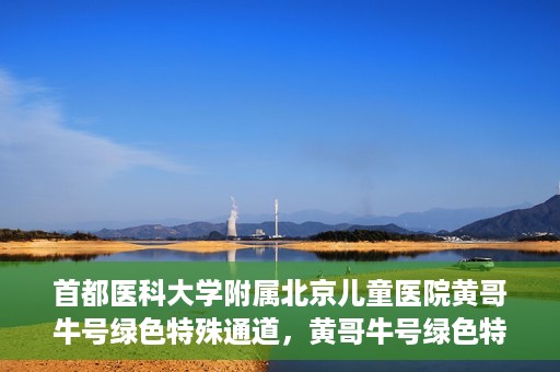 首都医科大学附属北京儿童医院黄哥牛号绿色特殊通道，黄哥牛号绿色特殊通道——北京儿童医院创新医疗服务的探索与实践
