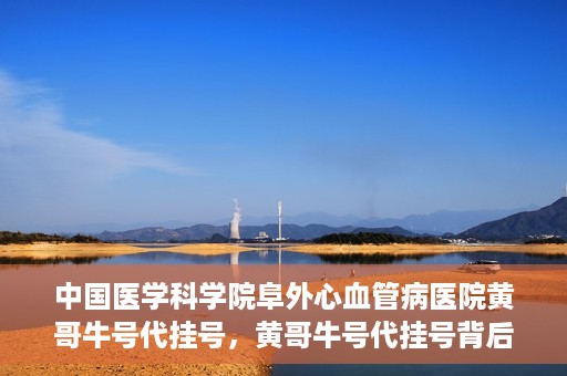 中国医学科学院阜外心血管病医院黄哥牛号代挂号，黄哥牛号代挂号背后的故事，阜外心血管病医院的探索与挑战