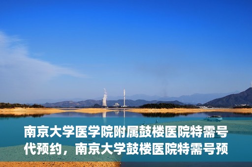 南京大学医学院附属鼓楼医院特需号代预约，南京大学鼓楼医院特需号预约服务解析