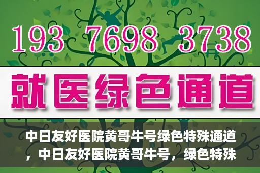 中日友好医院黄哥牛号绿色特殊通道，中日友好医院黄哥牛号，绿色特殊通道开启健康之门