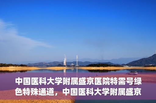 中国医科大学附属盛京医院特需号绿色特殊通道，中国医科大学附属盛京医院特需号绿色就医通道，打造优质医疗体验新篇章