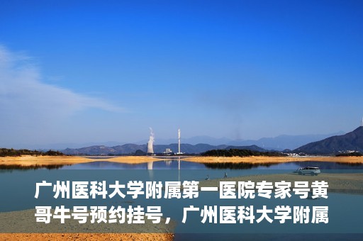 广州医科大学附属第一医院专家号黄哥牛号预约挂号，广州医科大学附属第一医院专家黄哥牛号预约攻略，轻松挂号，专业医疗体验