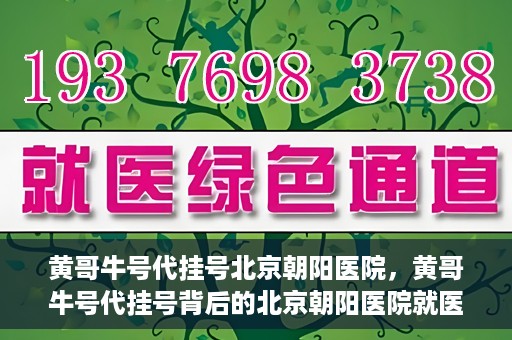 黄哥牛号代挂号北京朝阳医院，黄哥牛号代挂号背后的北京朝阳医院就医现象观察