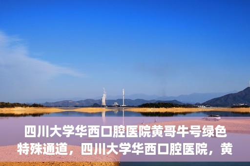 四川大学华西口腔医院黄哥牛号绿色特殊通道，四川大学华西口腔医院，黄哥牛号绿色特殊通道揭秘