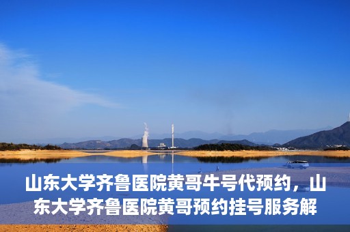 山东大学齐鲁医院黄哥牛号代预约，山东大学齐鲁医院黄哥预约挂号服务解析